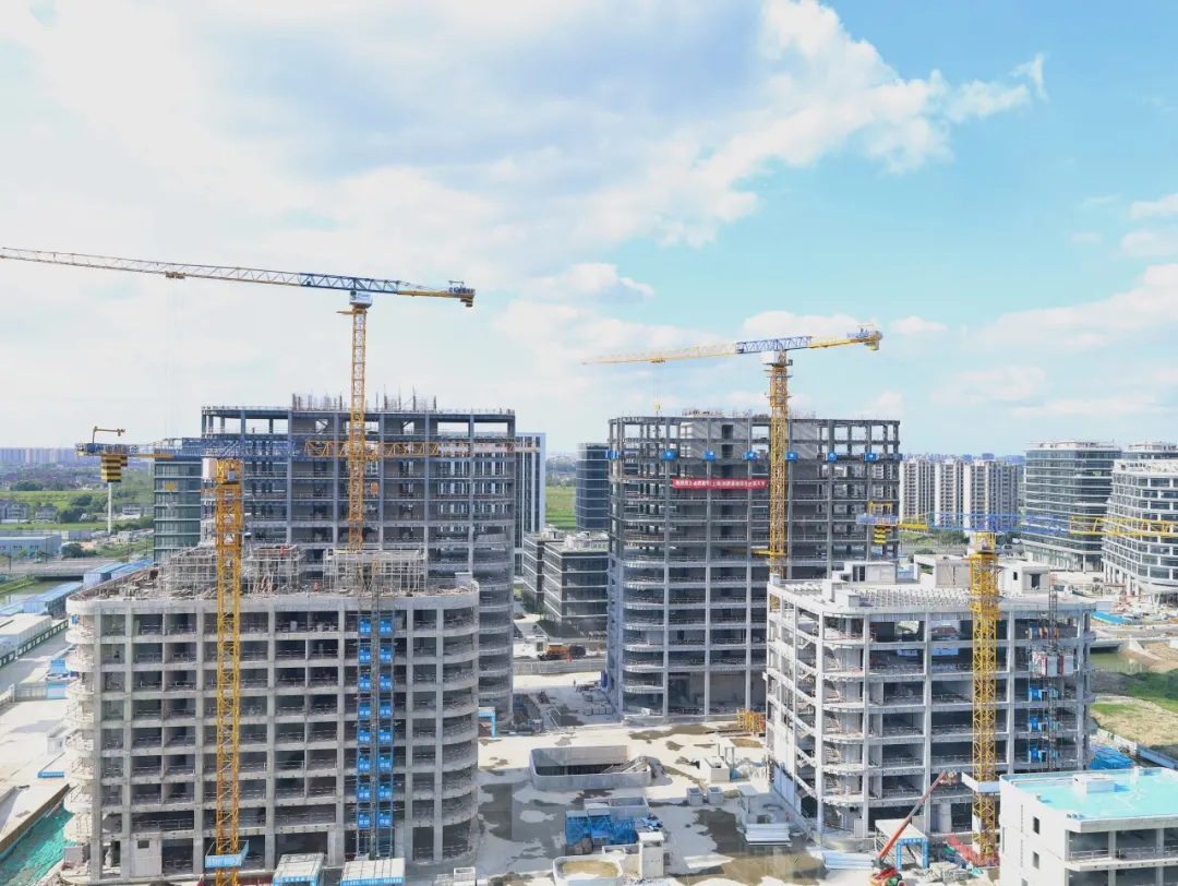 同心同向 造炬成阳 | 龙八long8股份2024年第三季度动态速览