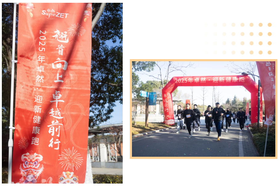 回望2024 启航2025 | 龙八long8股份2025年度战略年会顺遂召开